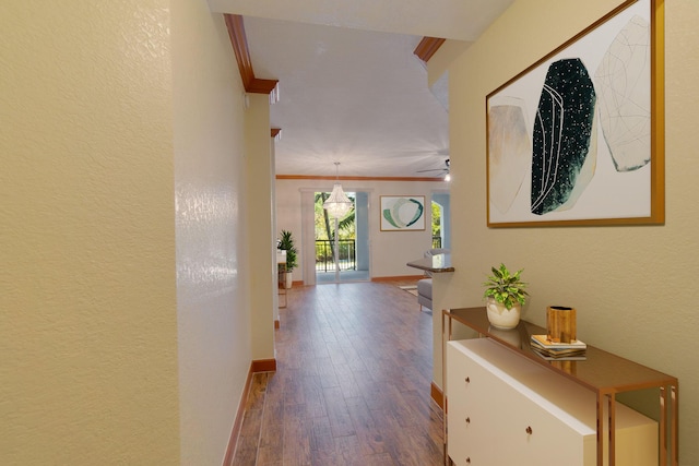 hallway with wood-type flooring and ornamental molding