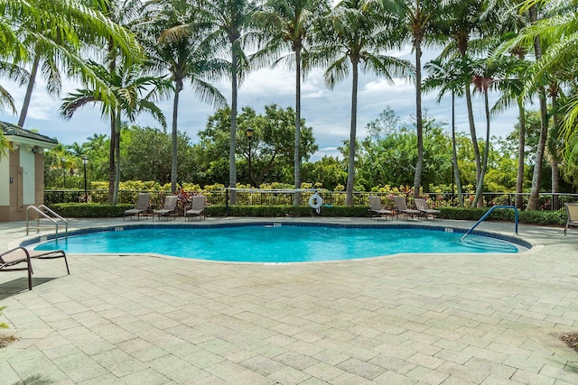 view of pool with a patio