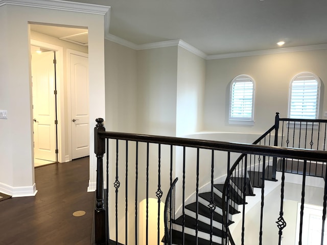 corridor with dark hardwood / wood-style floors and ornamental molding