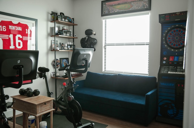 workout room with hardwood / wood-style flooring