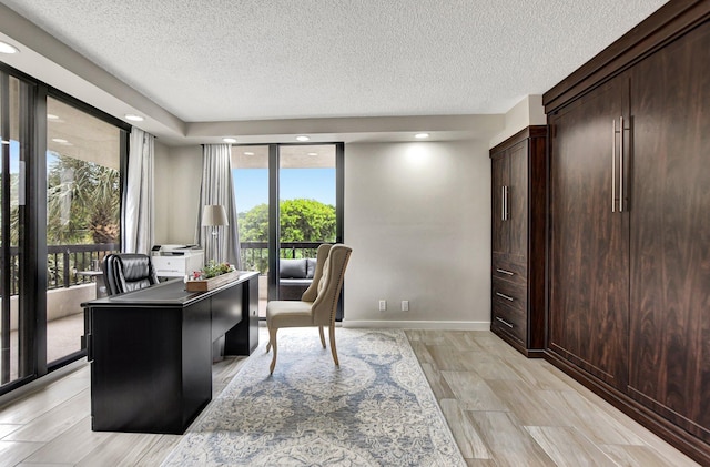 home office featuring light hardwood / wood-style flooring, a textured ceiling, and plenty of natural light