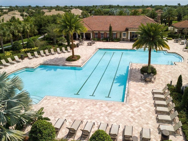 view of pool featuring a patio area