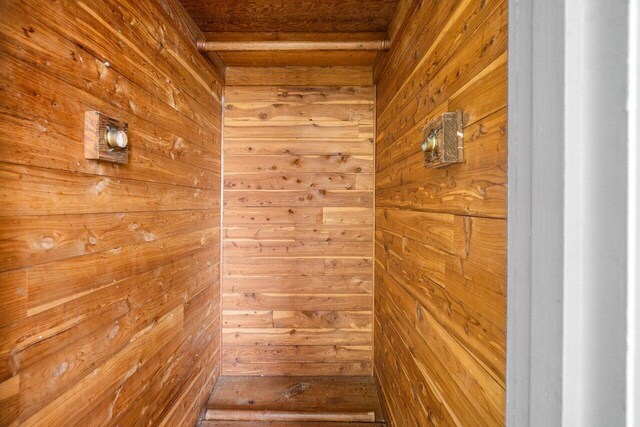 interior space with wood walls