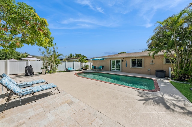 view of pool with a patio area