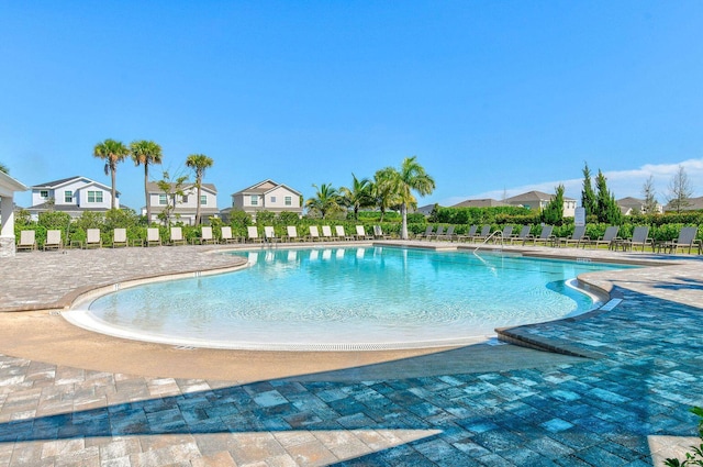 view of swimming pool featuring a patio area