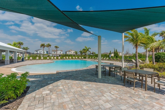 view of swimming pool with a patio area