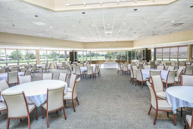 dining room with carpet floors and a drop ceiling