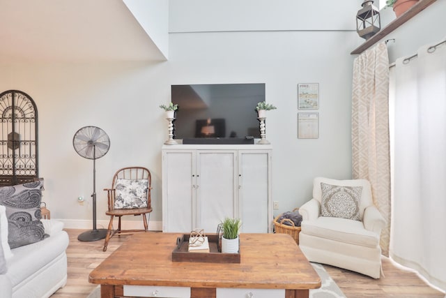 living room featuring light wood-type flooring