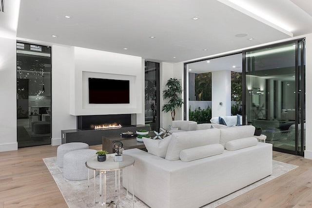 living room with light hardwood / wood-style floors