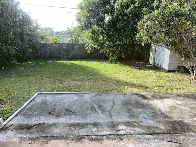 view of yard featuring a shed