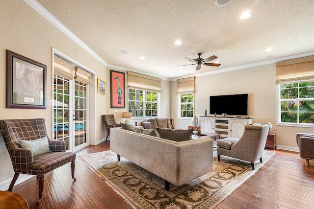 living room featuring ceiling fan, ornamental molding, wood-type flooring, and a textured ceiling