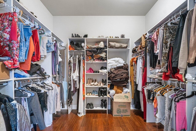 spacious closet with hardwood / wood-style floors