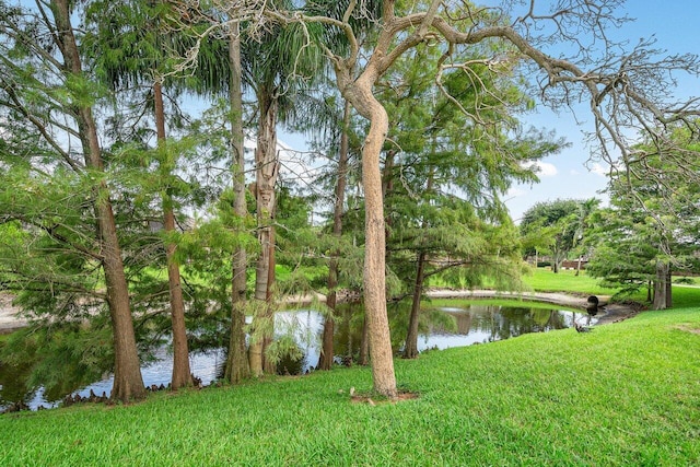 view of water feature