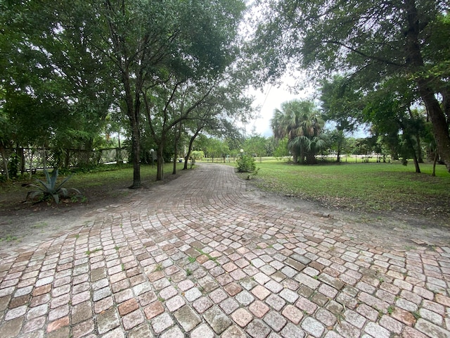 view of community with a lawn