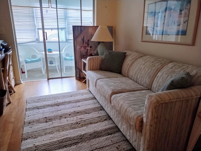 living room with light hardwood / wood-style flooring