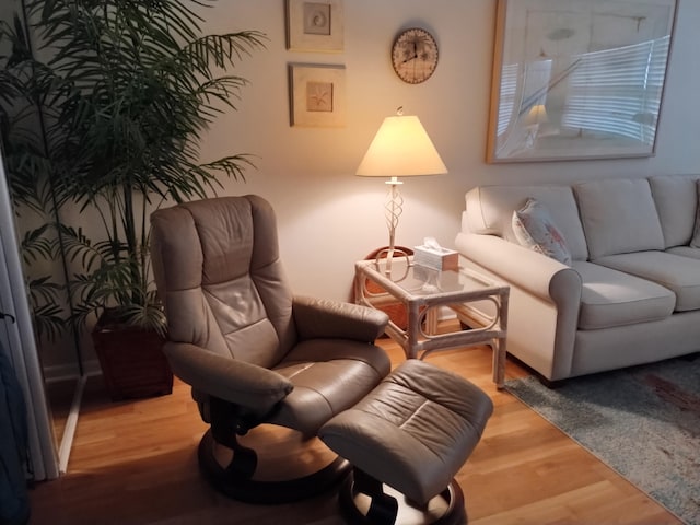 sitting room with wood-type flooring