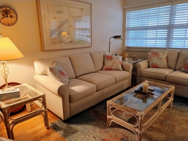 living room with hardwood / wood-style floors