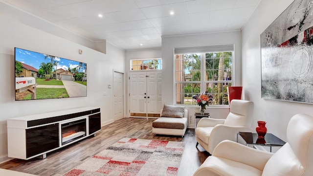 living room featuring wood-type flooring and ornamental molding