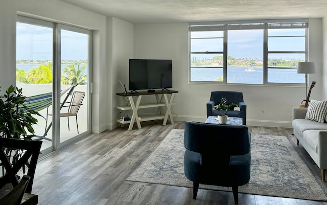 living room featuring hardwood / wood-style flooring and a water view