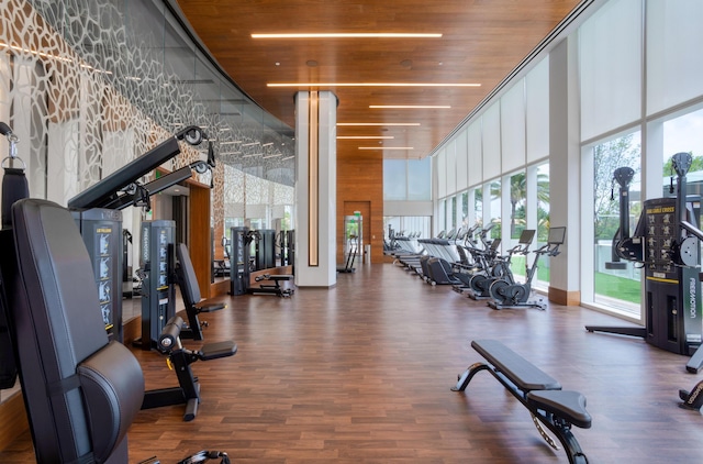 gym featuring a wall of windows, wood ceiling, and dark wood-type flooring