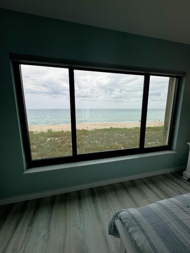 interior space with a water view, a healthy amount of sunlight, and wood-type flooring