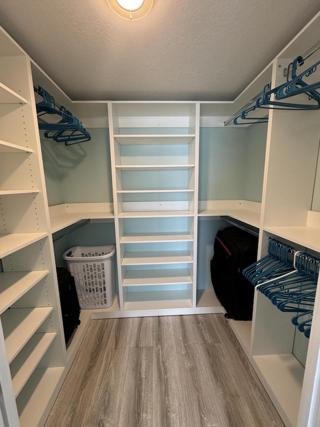 spacious closet featuring wood-type flooring