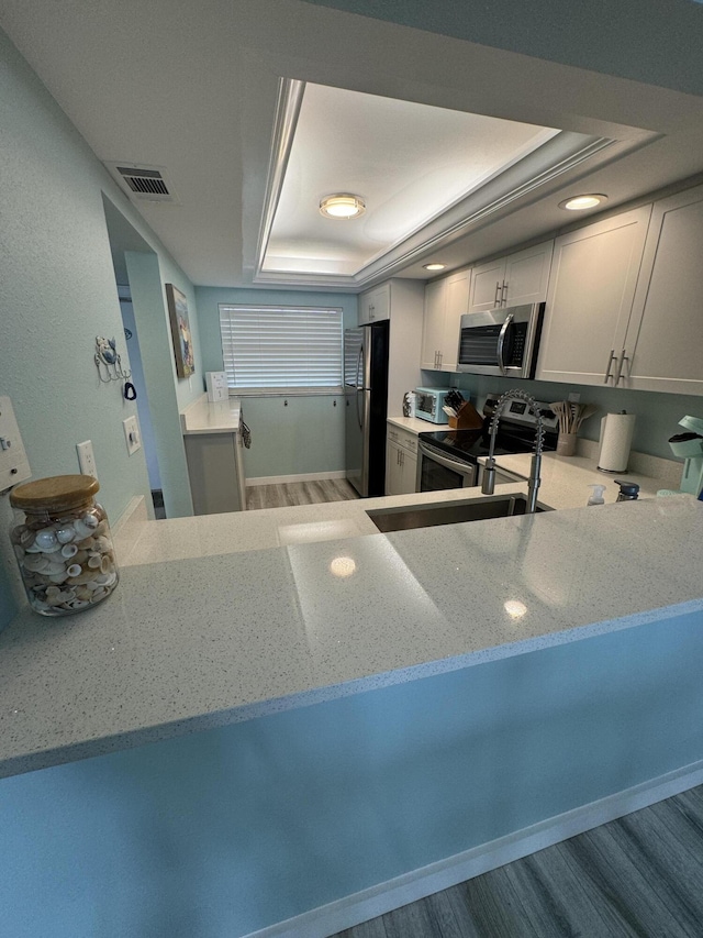 kitchen with white cabinets, a raised ceiling, light stone counters, wood-type flooring, and stainless steel appliances