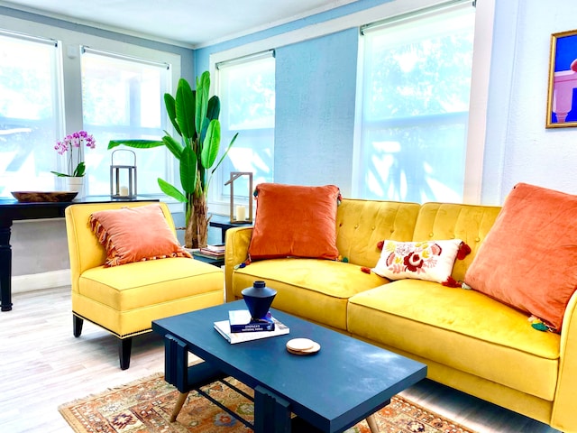 living room featuring light hardwood / wood-style floors