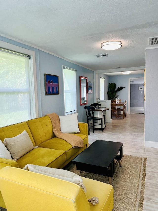 living room featuring hardwood / wood-style floors, a textured ceiling, and crown molding