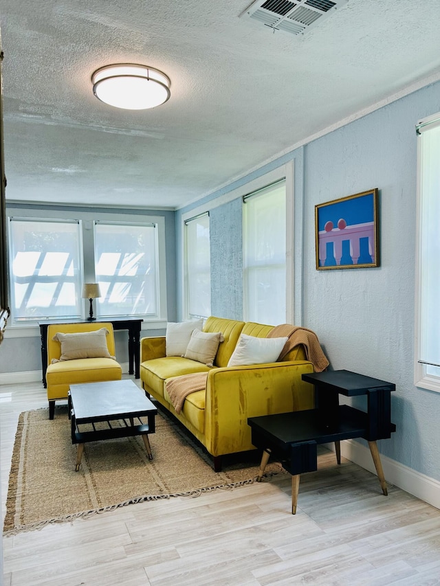 living room featuring a textured ceiling and light hardwood / wood-style flooring