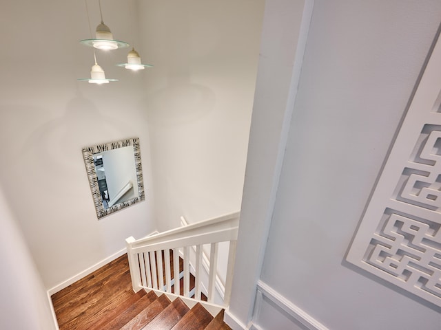 stairway with hardwood / wood-style floors