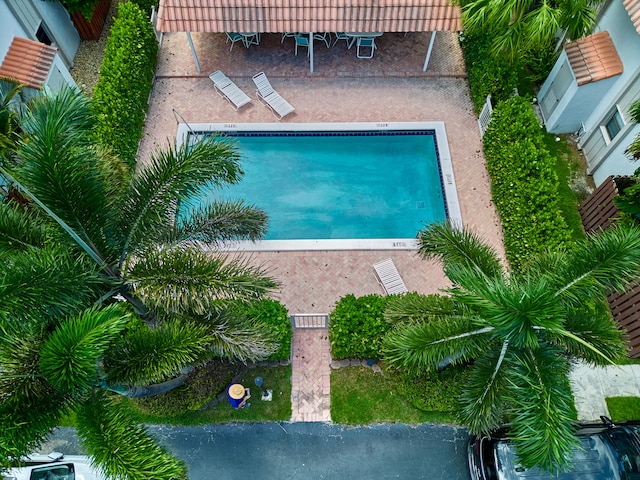 view of swimming pool featuring a patio area