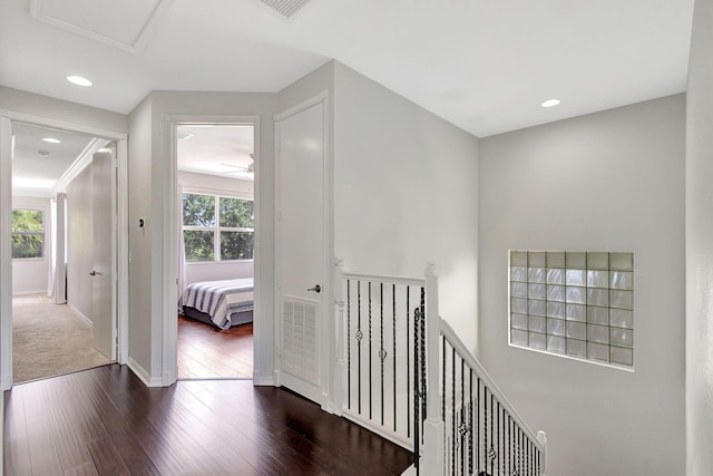 hallway featuring ornamental molding and dark hardwood / wood-style floors