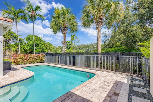 view of swimming pool featuring a patio