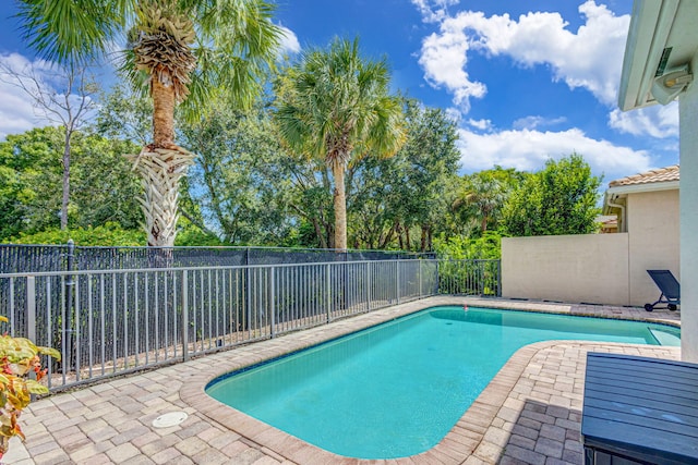 view of pool featuring a patio area