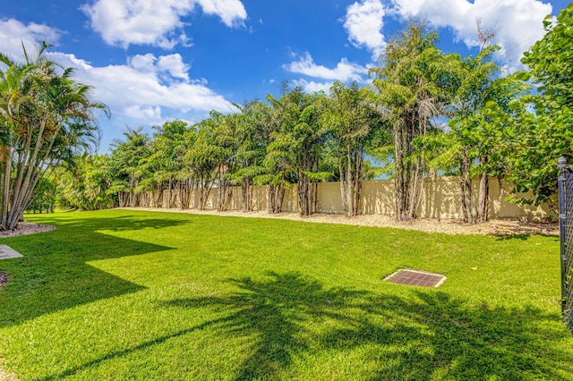 view of yard featuring a fenced backyard