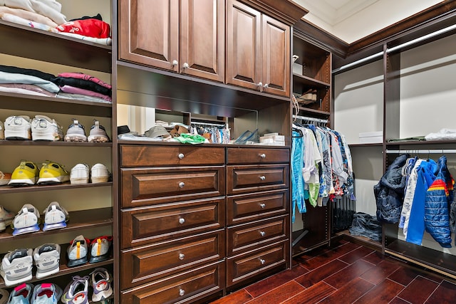 spacious closet featuring dark hardwood / wood-style floors