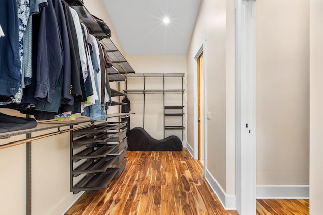 spacious closet with hardwood / wood-style floors