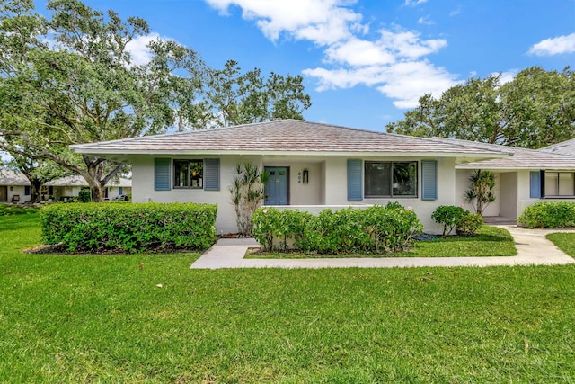 ranch-style home with a front yard and stucco siding