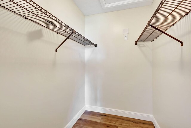 spacious closet with wood-type flooring