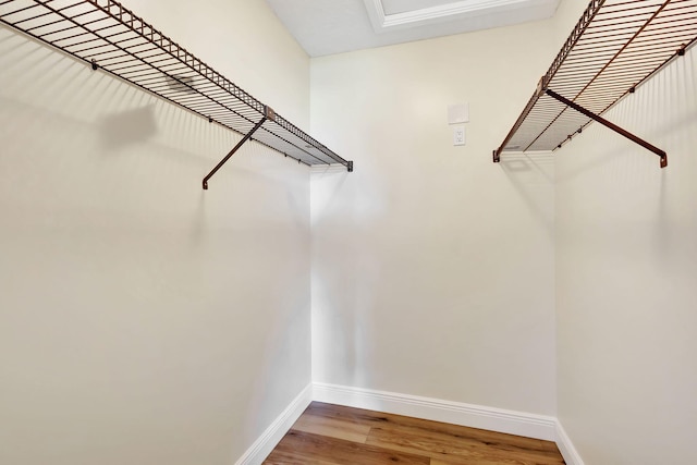 walk in closet featuring wood finished floors