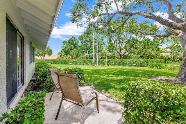 view of yard featuring a patio area