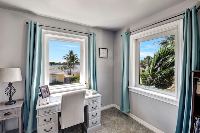 carpeted home office with baseboards and a wealth of natural light