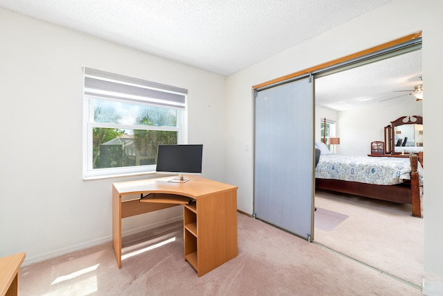 carpeted office space with ceiling fan and a textured ceiling