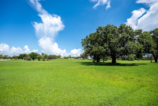 view of community featuring a lawn