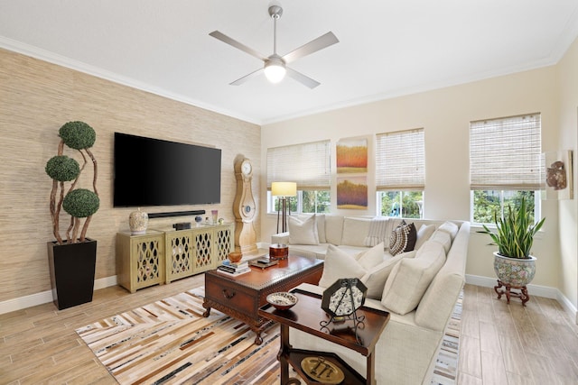 living room with ceiling fan, plenty of natural light, ornamental molding, and light wood-type flooring