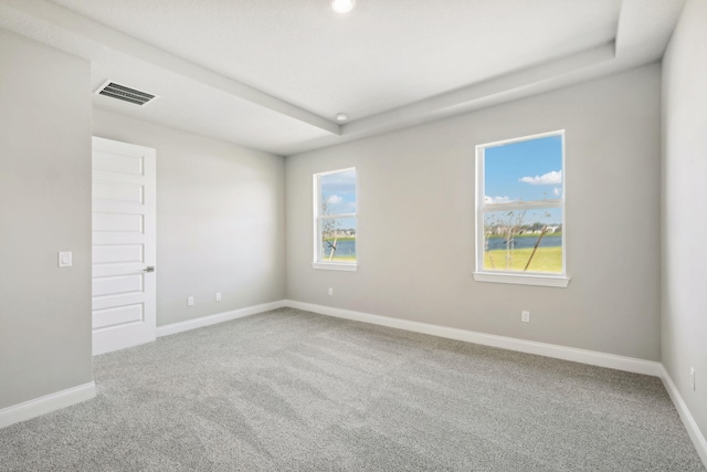 carpeted empty room with a wealth of natural light