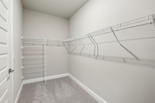 walk in closet with carpet