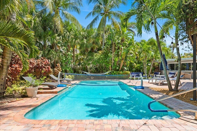 view of swimming pool featuring a patio