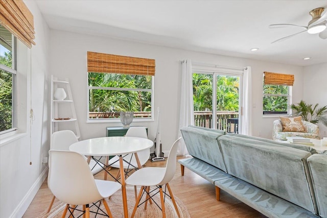 dining area featuring plenty of natural light, ceiling fan, and light wood-type flooring